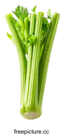 celery