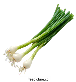 green onion