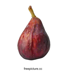 fig