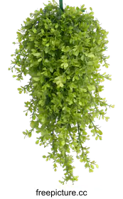 artificial plant
