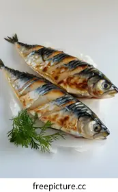 mackerel