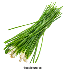 chives
