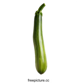 zucchini