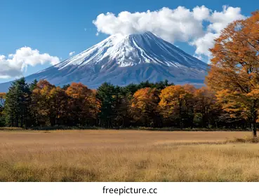 fuji