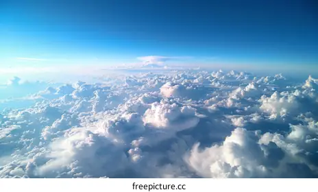 cumulus