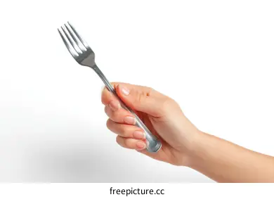 fork