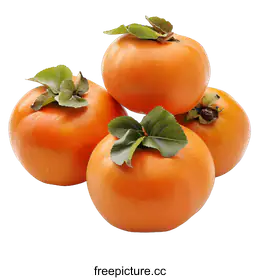 persimmon