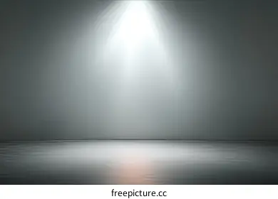 photography backdrop