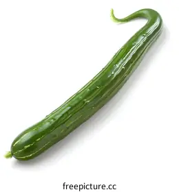cucumber
