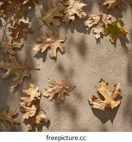 fallen leaves