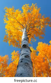 experimental photography