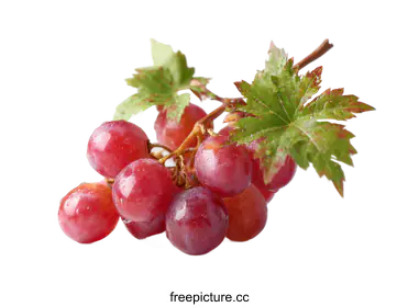 grapes