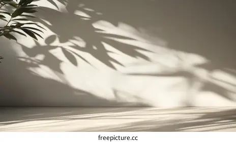 shadowplay