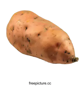 sweet potato