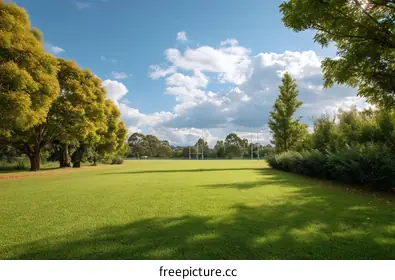 lawn