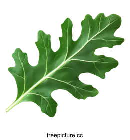 green leaf