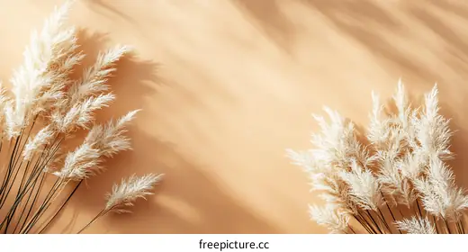 pampas grass