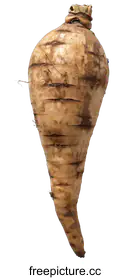 parsnip