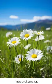 adventure photography