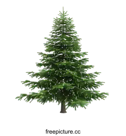 fir