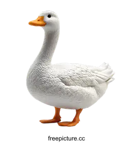 goose