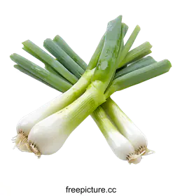 spring onion