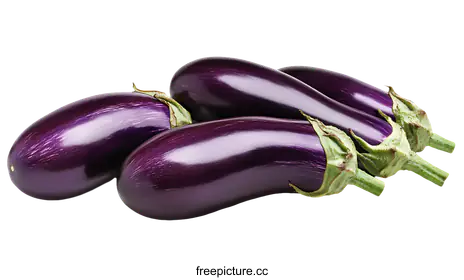 eggplant