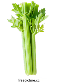 celery