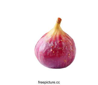 fig