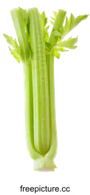 celery