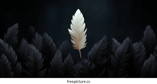 feather
