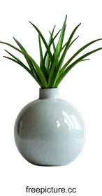 vase