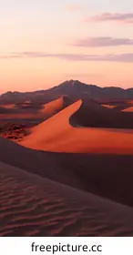 dune
