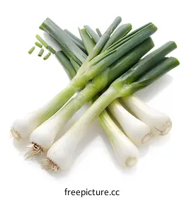spring onion
