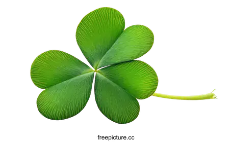 shamrock
