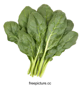 spinach