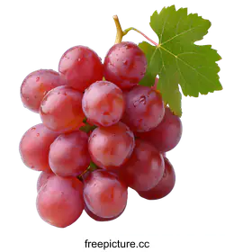 grapes