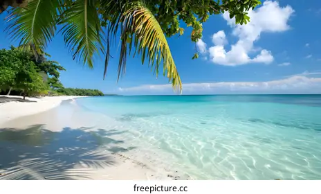 tropical beach