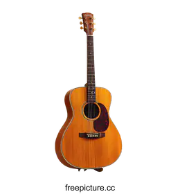 acoustic guitar