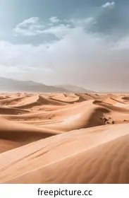 dune field