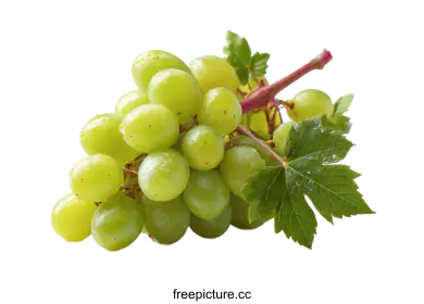 grapes