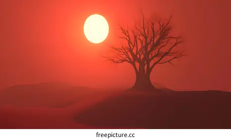 digital illustration