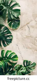 monstera