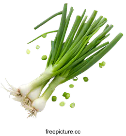 scallion