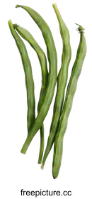 green beans