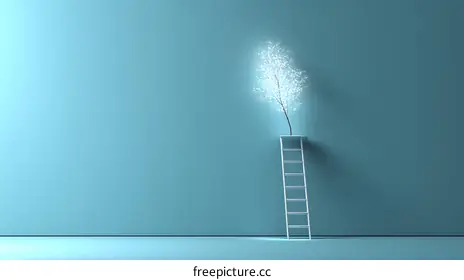 ladder