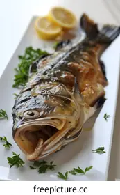 still life photography