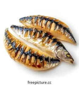mackerel