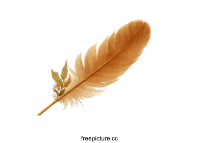 feather