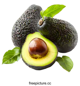 avocado